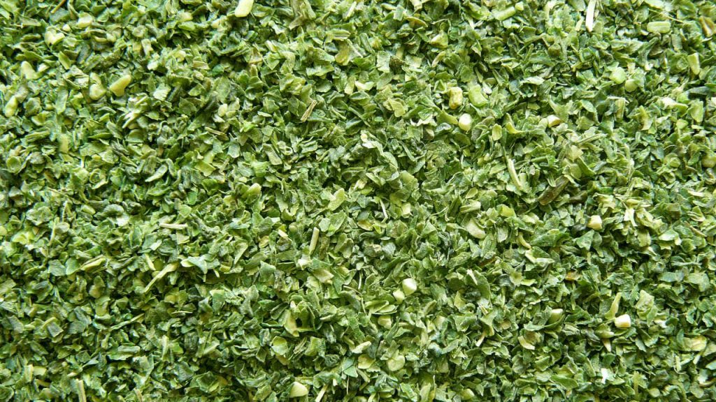 Zielona fasolka - Granulat od 0,3 do 2,5 mm