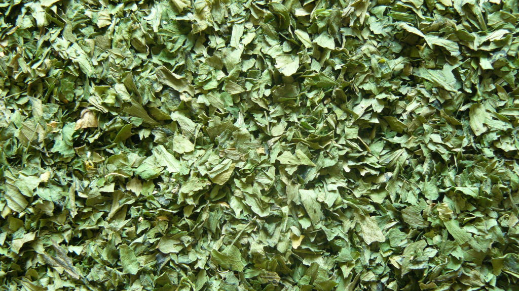 Celery leaves 2-4 mm